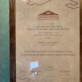 Ingrandire l'immagine: certificate 4