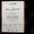 Ingrandire l'immagine: certificate 20