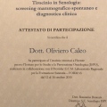 Ingrandire l'immagine: certificate 3