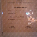 Ingrandire l'immagine: certificate 11
