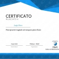 Ingrandire l'immagine: certificate 1
