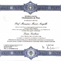Ingrandire l'immagine: certificate 6