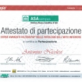 Ingrandire l'immagine: certificate 2