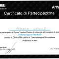 Ingrandire l'immagine: certificate 10