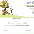 Ingrandire l'immagine: certificate 1