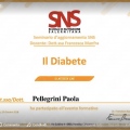 Ingrandire l'immagine: certificate 9