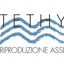 Tethys Srl Sterilità Di Coppia