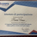 Ingrandire l'immagine: certificate 13