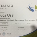 Ingrandire l'immagine: certificate 6
