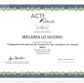 Ingrandire l'immagine: certificate 9