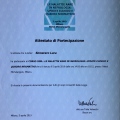 Ingrandire l'immagine: certificate 10