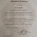 Ingrandire l'immagine: certificate 1