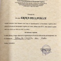 Ingrandire l'immagine: certificate 1