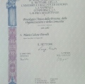 Ingrandire l'immagine: certificate 1
