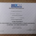 Ingrandire l'immagine: certificate 9
