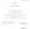 Ingrandire l'immagine: certificate 4