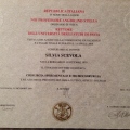 Ingrandire l'immagine: certificate 3