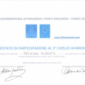 Ingrandire l'immagine: certificate 12