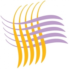 Studio Medico Odontoiatrico Scupilliti - Patanè