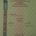 Ingrandire l'immagine: certificate 1