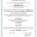 Ingrandire l'immagine: certificate 4