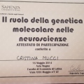 Ingrandire l'immagine: certificate 6