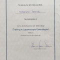 Ingrandire l'immagine: certificate 4