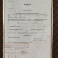 Ingrandire l'immagine: certificate 2
