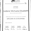 Ingrandire l'immagine: certificate 1