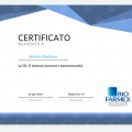 Ingrandire l'immagine: certificate 14