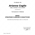 Ingrandire l'immagine: certificate 5