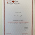Ingrandire l'immagine: certificate 26