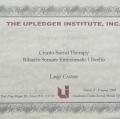 Ingrandire l'immagine: certificate 6