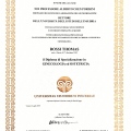 Ingrandire l'immagine: certificate 1
