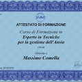 Ingrandire l'immagine: certificate 4