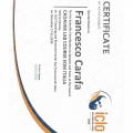 Ingrandire l'immagine: certificate 5