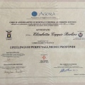Ingrandire l'immagine: certificate 2