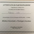 Ingrandire l'immagine: certificate 5