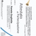 Ingrandire l'immagine: certificate 6