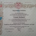 Ingrandire l'immagine: certificate 1