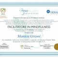 Ingrandire l'immagine: certificate 2