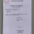 Ingrandire l'immagine: certificate 9