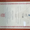 Ingrandire l'immagine: certificate 1