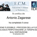 Ingrandire l'immagine: certificate 1