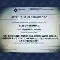 Ingrandire l'immagine: certificate 11