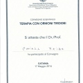 Ingrandire l'immagine: certificate 10