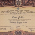 Ingrandire l'immagine: certificate 2