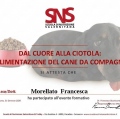 Ingrandire l'immagine: certificate 4