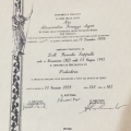Ingrandire l'immagine: certificate 5