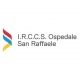 Ospedale San Raffaele Laife Reply S.P.A. logo